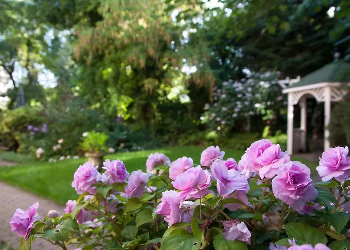 Von Deska - Ivy House Hotel apartamentowy 3*